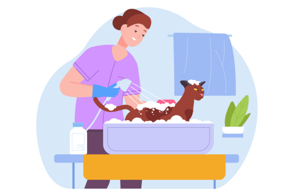 Professional Pet Cleaning. Happy Cat in